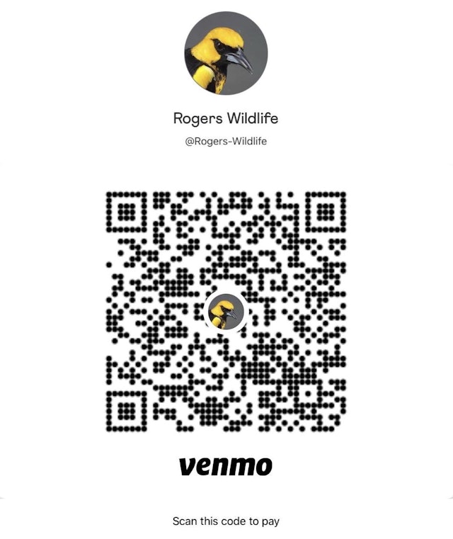 venmo image